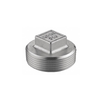 uae/images/productimages/murtuza-shabbir-trading-llc/pipe-plug/stainless-steel-hex-plug-1-4-2-inch.webp