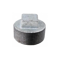 uae/images/productimages/mustafa-ashqar-trading-llc/pipe-plug/galvanized-iron-gi-plug-fitting.webp