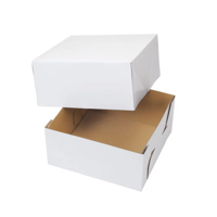 uae/images/productimages/muzaco-print-and-pack-design/food-storage-box/frozen-food-box.webp