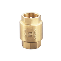 uae/images/productimages/naja-sanitary-ware-trading-co-llc/check-valve/pegler-brass-check-valve.webp