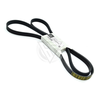 uae/images/productimages/naser-mohsin-auto-spare-parts/v-belt/mercedes-benz-v-belt-0029930996-6pk2138.webp