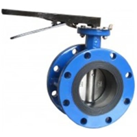 uae/images/productimages/new-life-steel-trading/flange-valve/double-flanged-valve.webp