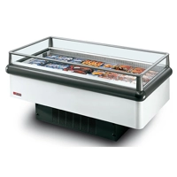 uae/images/productimages/paramount-trading-establishment/commercial-freezer/island-freezer-with-built-in-unit-200.webp