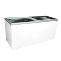 uae/images/productimages/paramount-trading-establishment/refrigerated-display-case/glass-top-freezer-csgt-73.webp