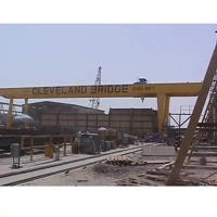 uae/images/productimages/pct-group/gantry-crane/goaliath-crane.webp