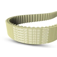 uae/images/productimages/pix-middle-east/timing-belt/pix-xpedient-xt-polyurethane-belt-t5-5-mm-1-20-mm.webp