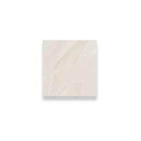 uae/images/productimages/plaza-middle-east/ceramic-tile/evolve-ivory-146.webp