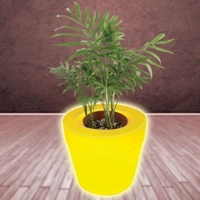 uae/images/productimages/polycon-gulf-limited-llc/garden-planter/sqaure-planters-illuminated.webp