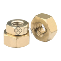 uae/images/productimages/prestige-metalloys-llc/hexagon-nut/hexagon-nut-copper-alloy.webp