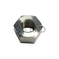 uae/images/productimages/prestige-metalloys-llc/hexagon-nut/hexagon-nut-nickel-alloy.webp