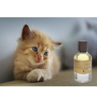 uae/images/productimages/pure-essence-perfumes-trading-llc/perfume/baby-cat-perfume-50-ml.webp