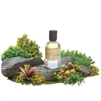 uae/images/productimages/pure-essence-perfumes-trading-llc/perfume/flowerbed-perfume-50-ml.webp
