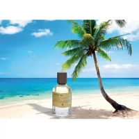 uae/images/productimages/pure-essence-perfumes-trading-llc/perfume/imagination-perfume-50-ml.webp