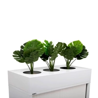 uae/images/productimages/radiance-international-establishment/garden-planter/go-planter-box-size-900-x-475-x-230-mm.webp