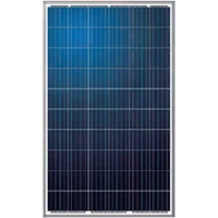 uae/images/productimages/radiant-solar-dmcc/solar-cell-module/polycrystalline-solar-pv-module-5-bb-60-cells-as-6p30.webp