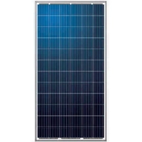 uae/images/productimages/radiant-solar-dmcc/solar-cell-module/polycrystalline-solar-pv-module-5-bb-72-cells-as-6p.webp