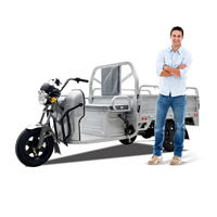 uae/images/productimages/rafplay/tricycle/megawheels-cargo-tuk-tuk-125cc-3-wheel-fuel-scooter-trolley-1-5-meter-silver.webp