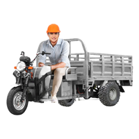 uae/images/productimages/rafplay/tricycle/megawheels-cargo-tuk-tuk-electric-3-wheels-scooter-hydraulic-trolley-grey.webp