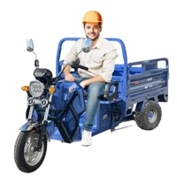 uae/images/productimages/rafplay/tricycle/megawheels-hydraulic-cargo-tuk-tuk-electric-3-wheels-scooter-trolley-blue-1-6-meter.webp