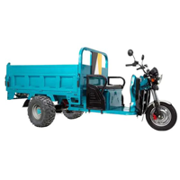 uae/images/productimages/rafplay/tricycle/megawheels-hydraulic-cargo-tuk-tuk-electric-3-wheels-scooter-trolley-green-1-6-meter.webp