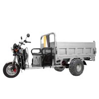 uae/images/productimages/rafplay/tricycle/megawheels-hydraulic-cargo-tuk-tuk-electric-3-wheels-scooter-trolley-grey-1-6-meter.webp