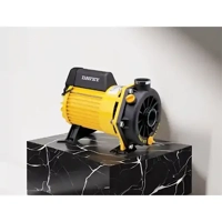 uae/images/productimages/rajab-trading-co-llc/transfer-pump/dynaflo-62101-transfer-pump-2-8-hp-260-lpm-31-6-m-head-cast-iron-thermal-protection.webp