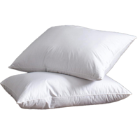 uae/images/productimages/regency-bed-linen-industry-llc/bed-pillow/pillow-50-70-cm.webp