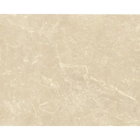 uae/images/productimages/roka-general-trading-llc/porcelain-tile/roser20beige2060x120.webp