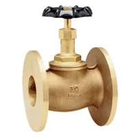 uae/images/productimages/s.y.n.-trading-llc/globe-valve/bronze-globe-valve-undrilled-ft-1-2-to-4-in.webp