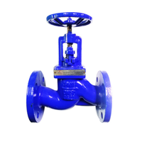 uae/images/productimages/s.y.n.-trading-llc/globe-valve/cast-iron-globe-valve-1-2-to-12-in-pn16.webp