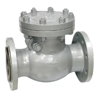 uae/images/productimages/s.y.n.-trading-llc/swing-check-valve/cast-iron-swing-check-valve-ft-1-2-to-10-in-cl150.webp