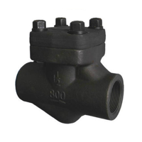 uae/images/productimages/s.y.n.-trading-llc/swing-check-valve/ss-and-ms-forged-swing-check-valve-1-2-to-2-in-npt-and-sw.webp