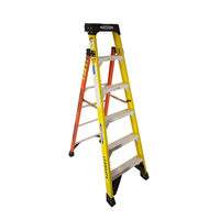 uae/images/productimages/safety-store/leaning-ladder/fiberglass-leaning-ladder-l7306-74-4-in-7-2-in.webp