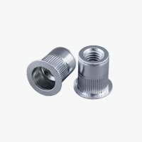 uae/images/productimages/saizo-general-trading-llc/rivet-nut/rivet-nut.webp