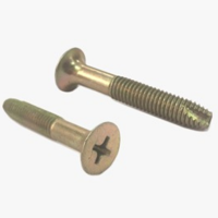 uae/images/productimages/saizo-general-trading-llc/tapping-screw/container-screw.webp