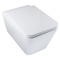 uae/images/productimages/sanipex-group/water-closet/stratos-rimless-wall-mounted-wc-white-bds-str-320-wh.webp