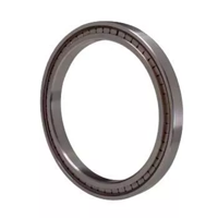 uae/images/productimages/santoo-sealing-technologies/roller-bearing/backup-bearing.webp