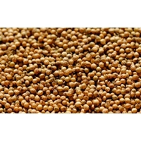 uae/images/productimages/sarf-commodities-dmcc/coriander-seed/coriander-seed-25-and-40-50-kg.webp