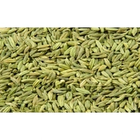 uae/images/productimages/sarf-commodities-dmcc/fennel-seed/fennel-seed-25-and-50-kg.webp