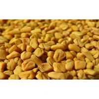 uae/images/productimages/sarf-commodities-dmcc/fenugreek-seed/fenugreek-seed-15-20-25-and-50-kg.webp