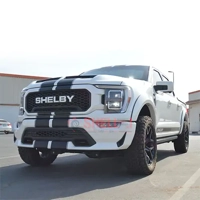 uae/images/productimages/shell-special-vehicles-llc/armored-motor-vehicle/armored-ford-f150-pickup-2-4-doors.webp