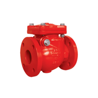 uae/images/productimages/sky-trading/check-valve/fire-fighting-sky-valve-flanged-resilient-swing-check-valve-50-mm-skytrading.webp