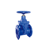 uae/images/productimages/sky-trading/gate-valve/hvac-sky-valve-bs-5163-flanged-resilient-nrs-gate-valve-skyz45x62-50-mm-skytrading.webp