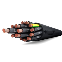 uae/images/productimages/skywall-general-trading-llc/control-cable/xlpe-insulated-unarmoured-control-cable.webp