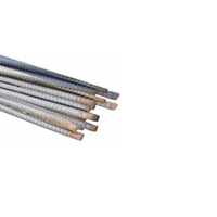 uae/images/productimages/sm-&-rahmani-building-materials-trading-llc/reinforcing-bars/deformed-steel-bar.webp