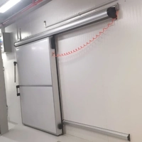 uae/images/productimages/snowland-cooling-systems-llc/cold-room-door/automatic-sliding-door.webp