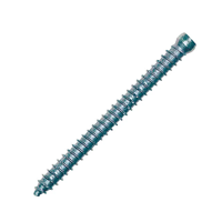 uae/images/productimages/speedex-trading-llc/wood-screw/frame-fixing-screw-ffsz-with-cylinder-head-126.webp