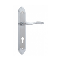 uae/images/productimages/spitamen-general-trading-llc/door-handle/door-handles-on-a-backplate-spt-p01-silver.webp