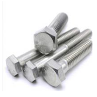 uae/images/productimages/ss-bolt/hexagon-bolt/stainless-steel-316-bolt.webp