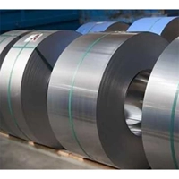 uae/images/productimages/stainlessinox-international-fzco/inconel-super-alloy-coil/nickel-200-201-coil-0-1-12-mm-5-150-mm.webp